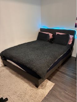 Bed Frame