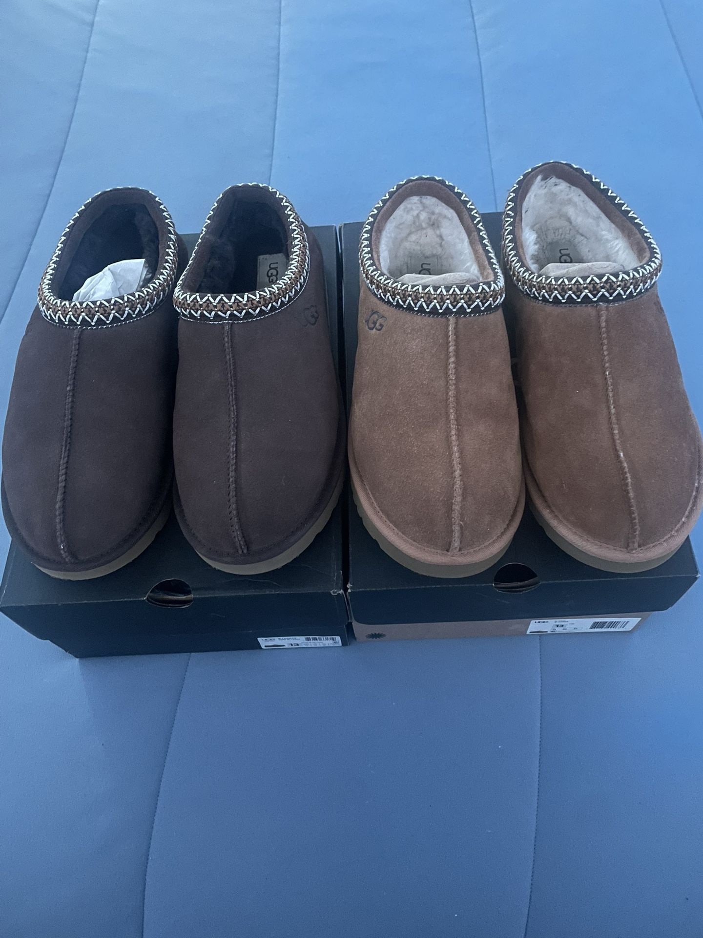Ugg Tasman