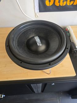Sundown Audio 12" woofer