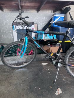 Bicycle Fugitive