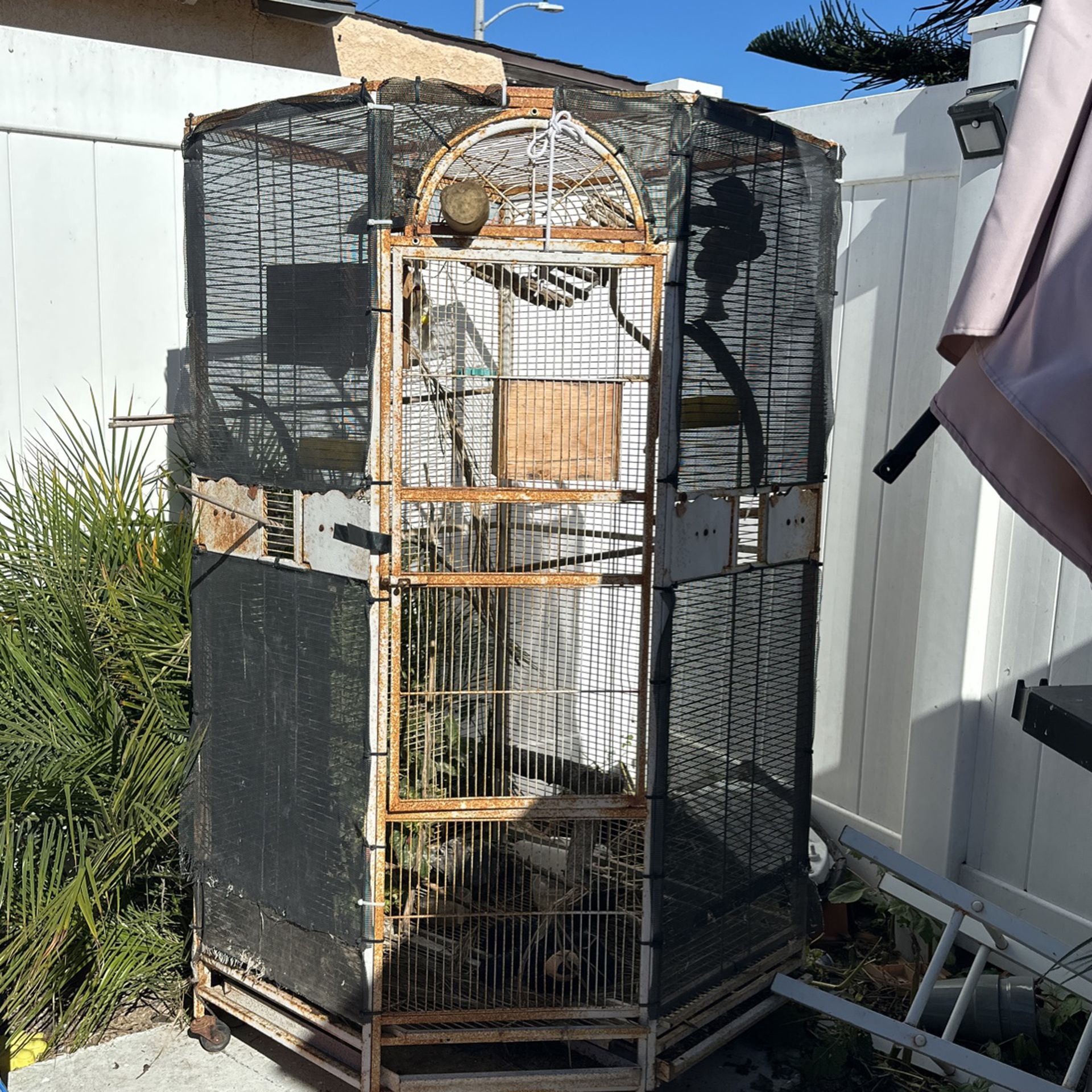 Bird & Parakeet Cage 