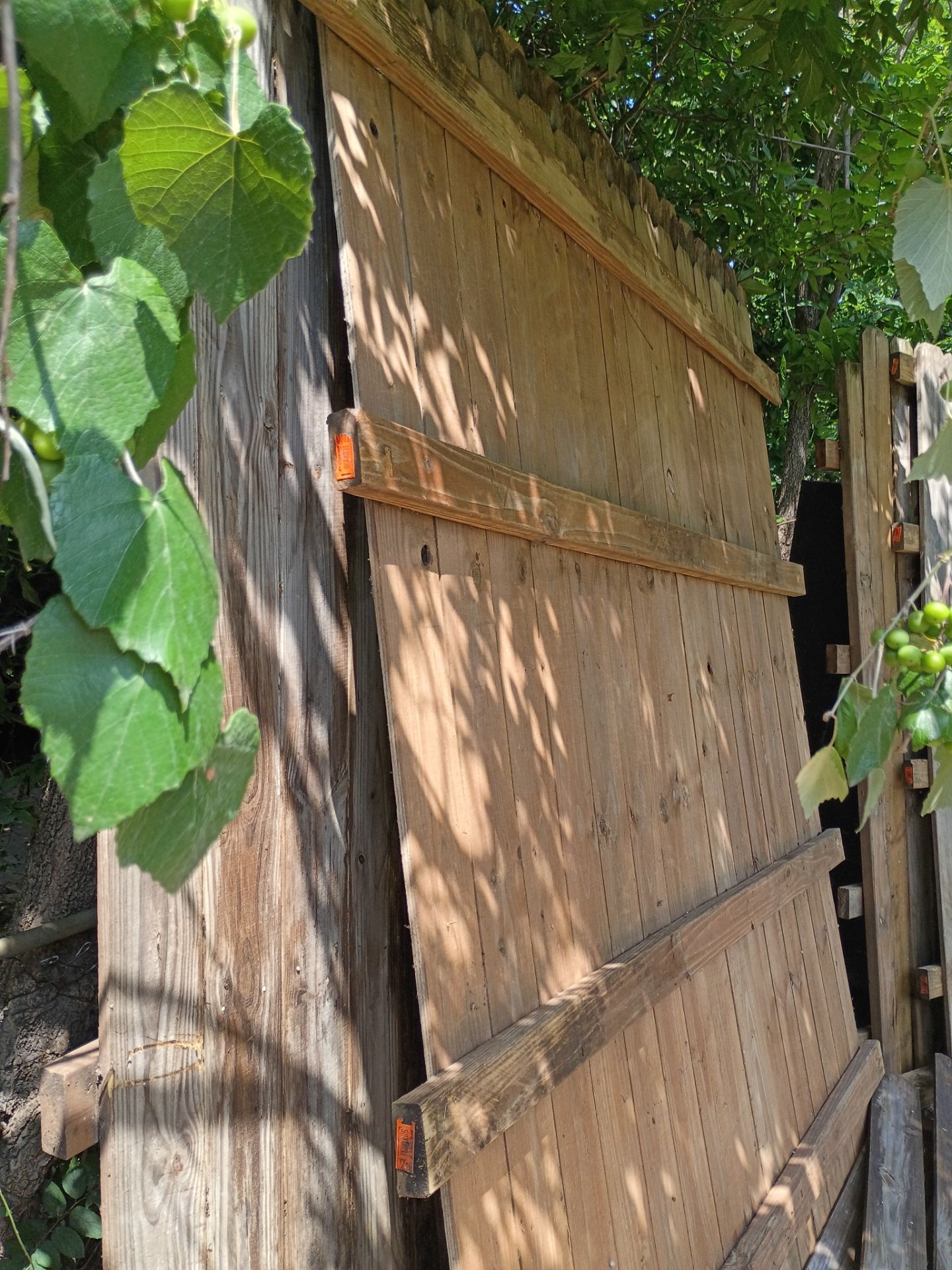 (9) Cedar wooden fence panels ($300) Firm