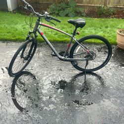 GIANT Cypress Dx M Dark Silver 