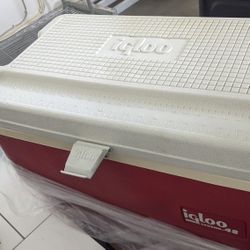 Igloo Cooler