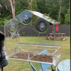 Bird Feeder/comedero