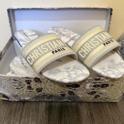 Dior slides