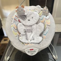 Baby Bouncer