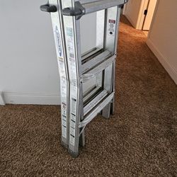 Multi Purpose Werner Ladder