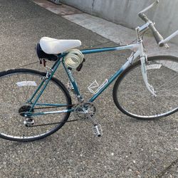 Vintage Panasonic Road Bike