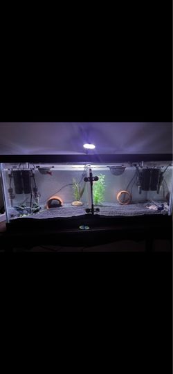 Complete 20 Gallon Long Aquarium