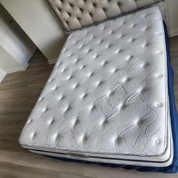 Free Queen Size Bed Including Mattress And Box Spring 