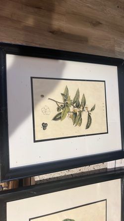 Decorative paintings