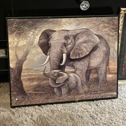 Elephant Picture