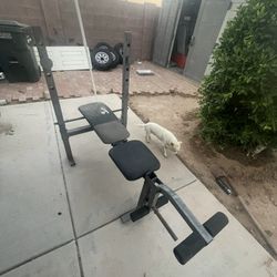 Bench Press