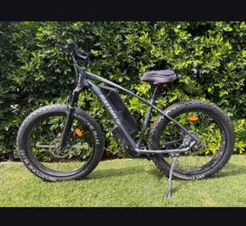 Burningman ebike