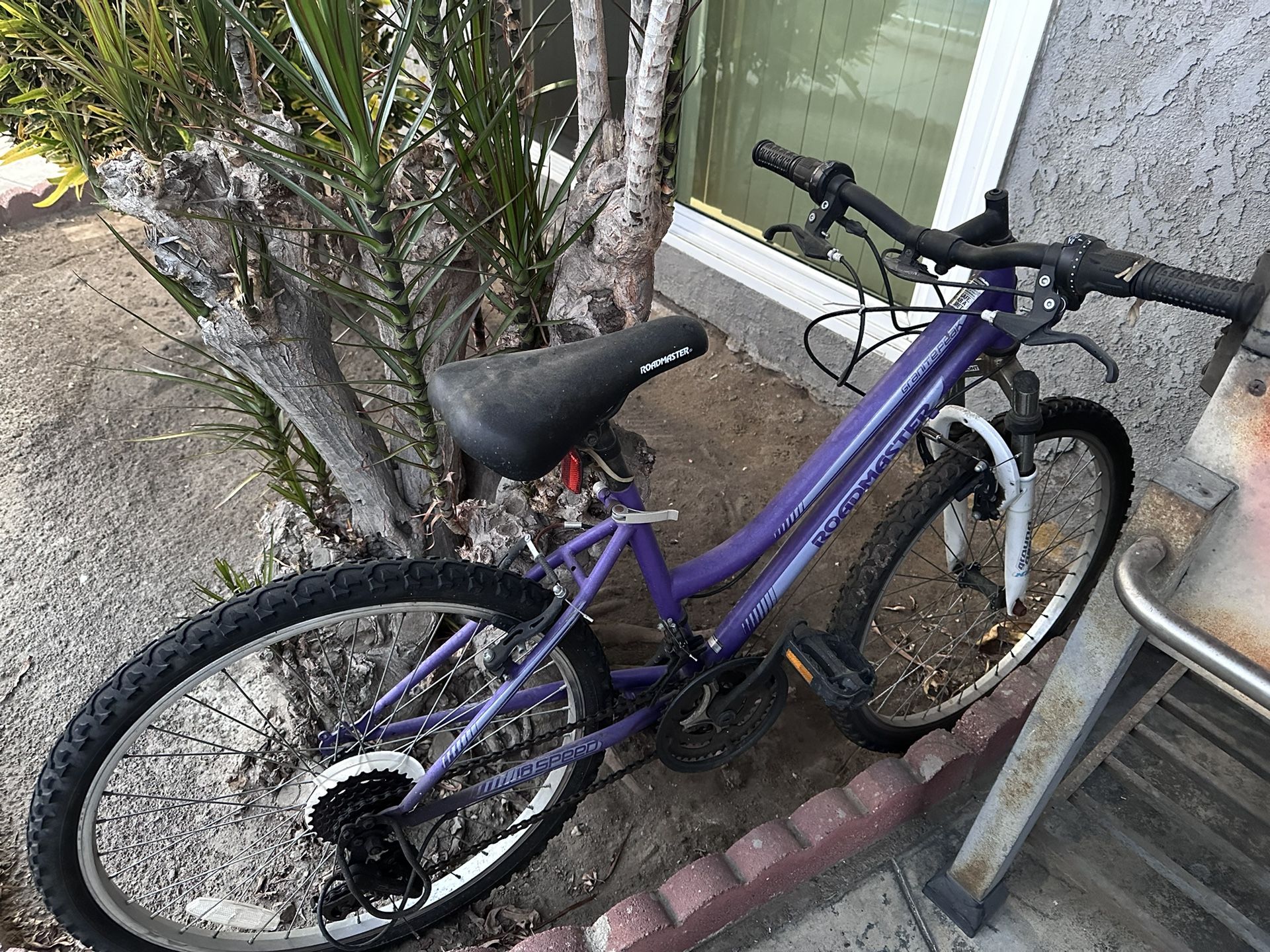 RoadMaster Mountain Bike