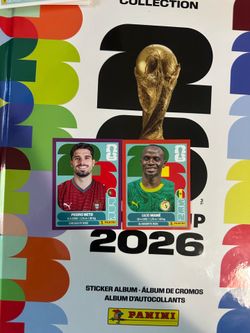 Panini stickers