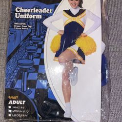 Cheerleading costume