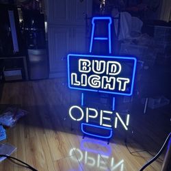 Neon Beer Sign Budligh