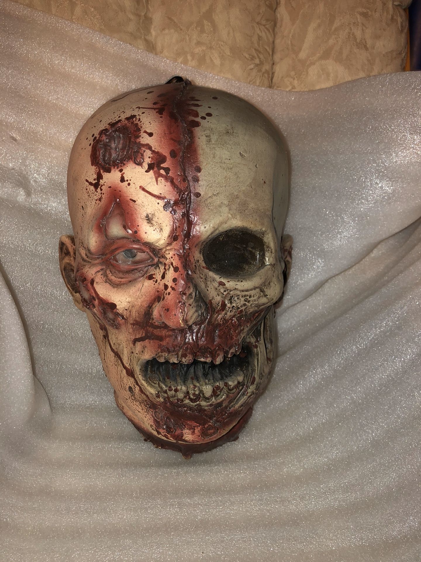 Halloween Severed Zombie Head