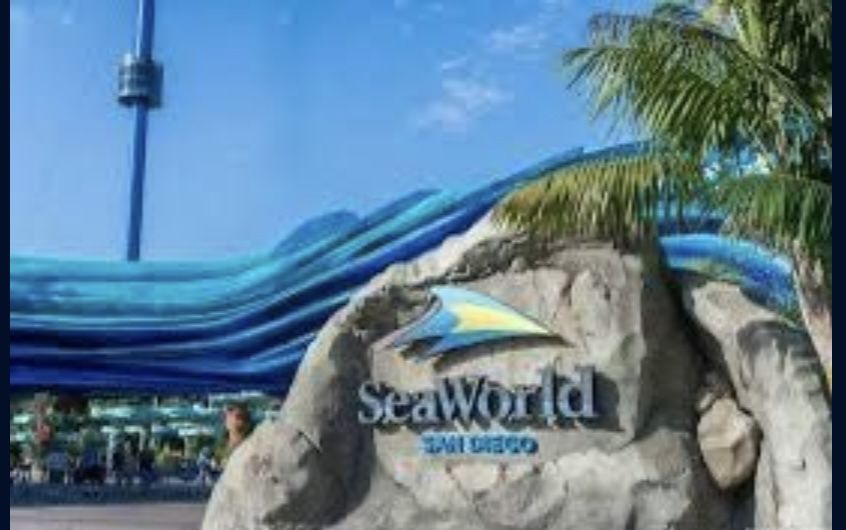 Sea World Tickets & Sesame Tickets