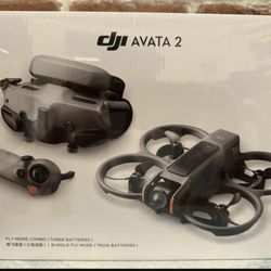 DJI - Avata 2 Fly More Combo Drone (Three Batteries) - Gray 