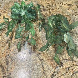 Artificial Plants