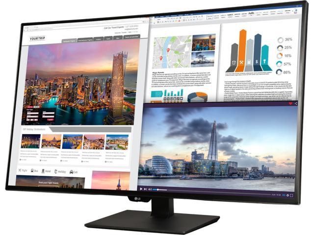 LG 43UD79-B 42.5" 4K UHD LED IPS Monitor