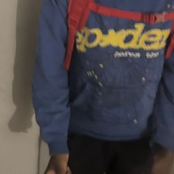 Blue And Yellow Spider