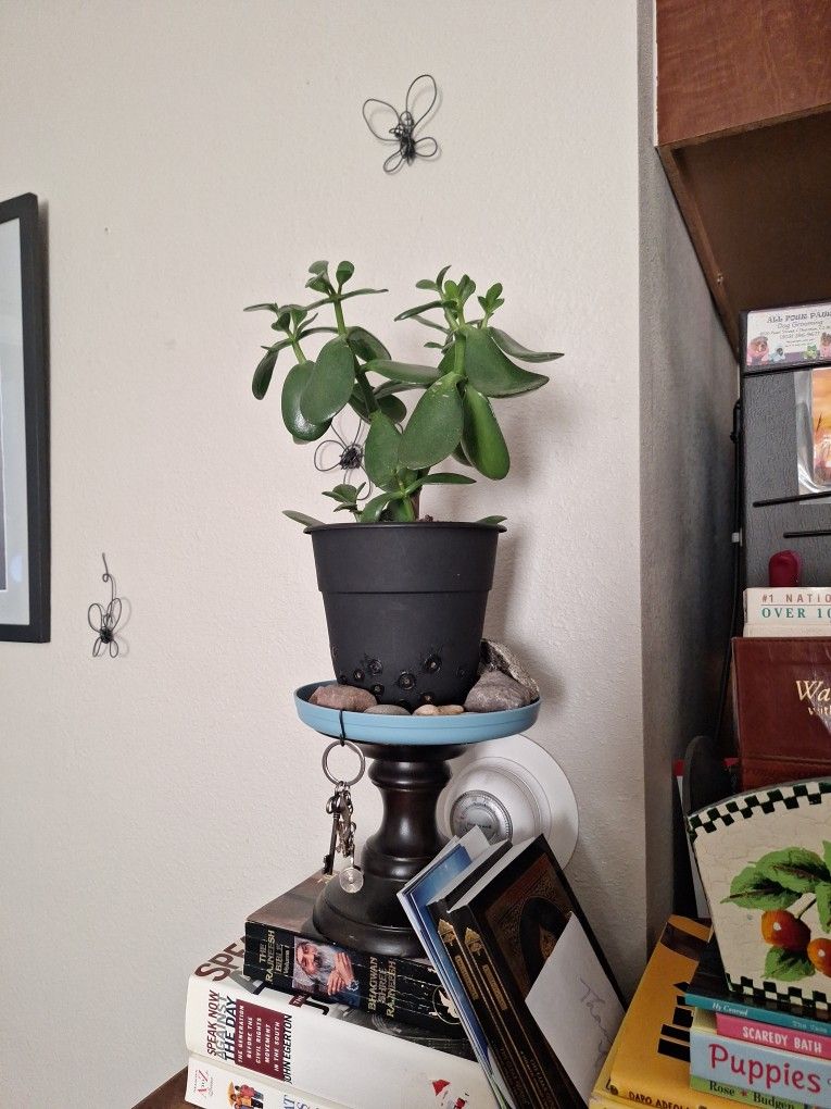 Jade