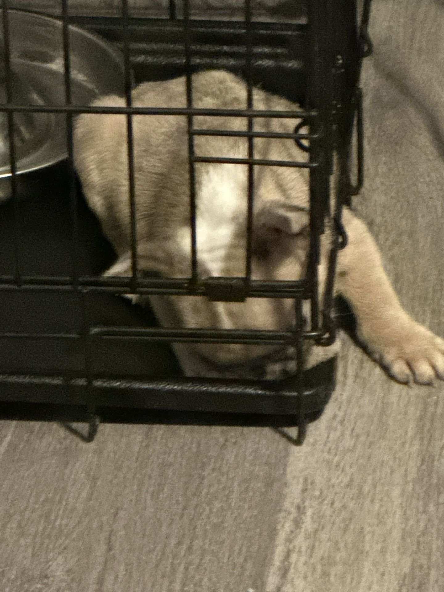 Stackable cages