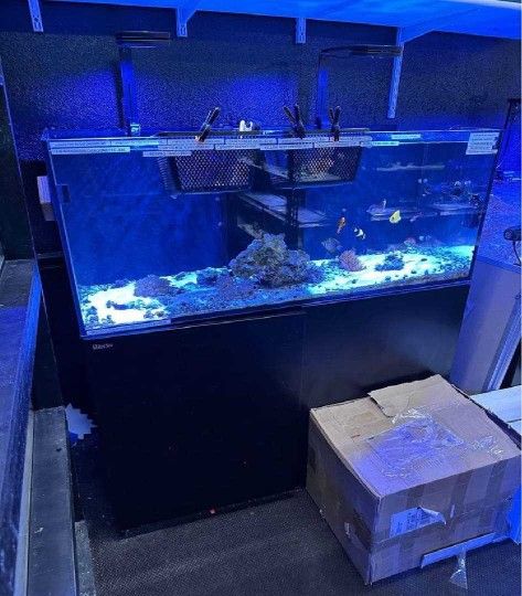 another gun High-Quality Aquarium System - Premium Standard Choice