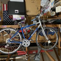 Giant Cypress Hybrid 