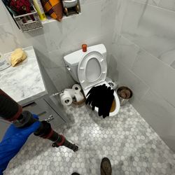 For Sale Drain Cleaning/Destupiciones 