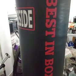 Ringside Punching Bag 