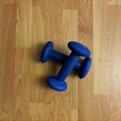 5LB Weights (rubber Coated)