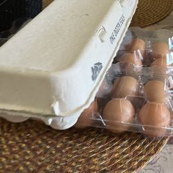 $9 Eggs / Huevos 