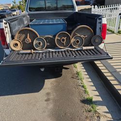 Apollo  Olympic  Weights With Curl Bar 