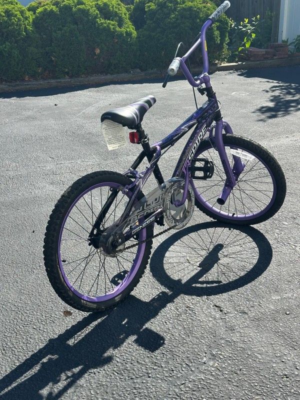 Kids Purple 20' Bike