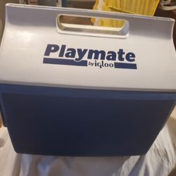 Playmate by igloo $10 16Qt