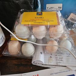 Dozen Eggs