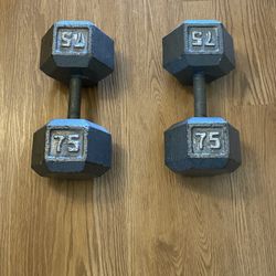 75 Pound Dumbbells (2)