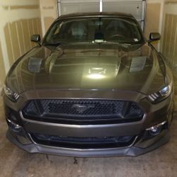 S550 Mustang GT Performance Package/ Front Splitter.
