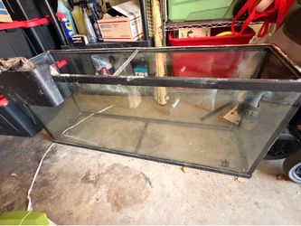 55 gallon tank with 1 hang on back filter