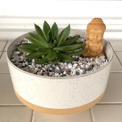 Wax Agarve Succulent Arrangement 🪴Please Read Description 🪴 Please see all listings 🪴