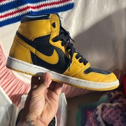 Jordan 1 Pollen
