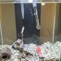 Fluval Edge 10 Gallon Aquarium Fish Tank