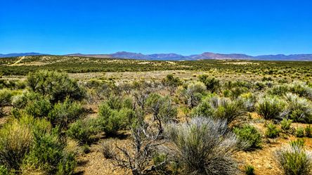 1.13 Acres Near Elko — Easy Owner Financing
