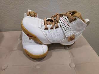 Nike LeBron 5, size 8.5