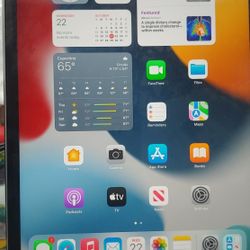 2 X. IPAD MINI 4 - 32GB - IOS 15.7